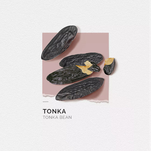 Tonka - 15ml