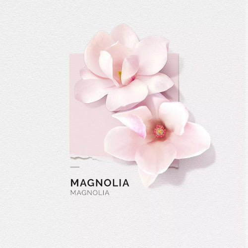 Magnolia - 15ml