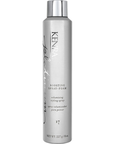 Platinum Boosting Spray Foam 17  8 oz