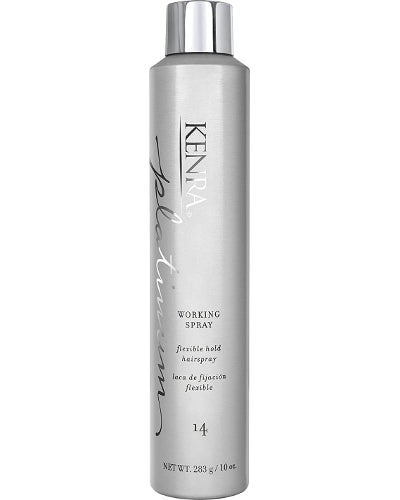 Platinum Working Spray 14  10 oz