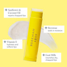 Honey & Orange Blossom Lip Balm0