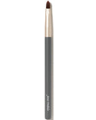 Lip Brush