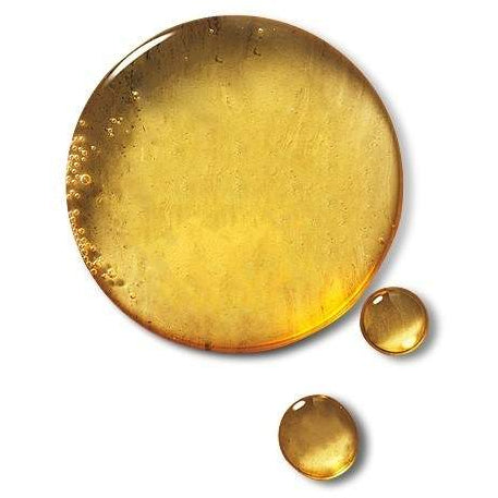 Shower Gel Fragrance Originale 8.5 oz